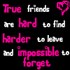 Friends - True friends are hard to forget