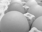 Eggs  - Eggs are a good source of economicl protein. They can be a part of a weight loss diet.