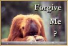 forgiven - forgive me