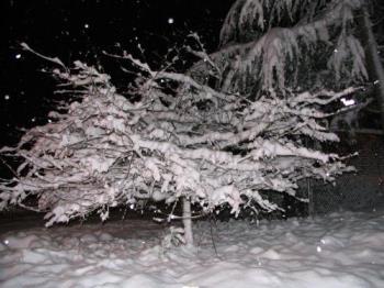 Snow in Seattle - My first REAL snow! WOO HOO!