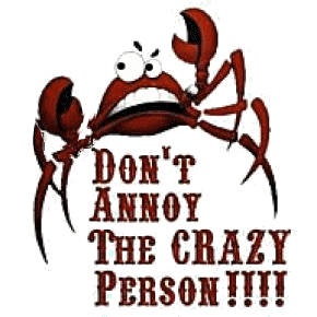 Crazy person - Don&#039;t annoy the crazy person