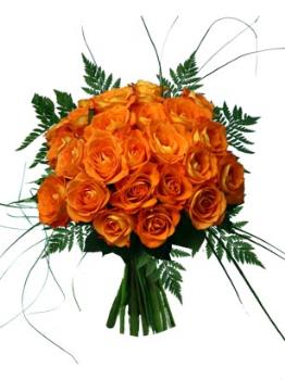 orange roses - I just love orange roses