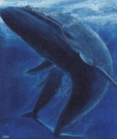 Whales - During their first 8 months they can double in length reaching an average of 15 meters (50 feet long) and they can gain as much as 90 kg (200 pounds) a day! 

