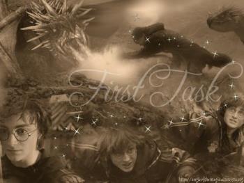 harry - harry potter first task in the goblet of fire