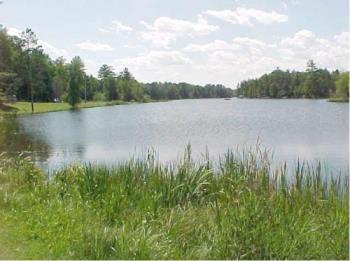 Thunder Bay - There are some wonderful areas to camp around Thunder Bay. This is the view from one of the campgrounds where we went last summer. Isn&#039;t it beautiful? There are so many other campgrounds with beautiful waters just like these. Michigan has lots of beautiful scenery. Why not take your family camping in Michigan? You won&#039;t be sorry.