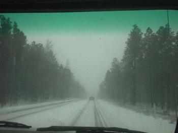 Snow in Flagstaff  - It was too darn WHITE to take the mountain road from Sedona to Flagstaff, so we took the interstate, and twice as long to get to FMC where we were going (to see a relative in the hospital). Walker had a hard time driving. I snapped this picture from the truck, while we were on the road. 