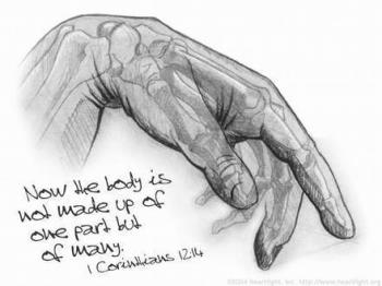 The Body Of Christ - Jesus is the head and we make up the body of Christ
