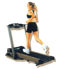 Cardio is known to be best exercise for reducing f - Without cardio reducing fat is nearly impossible.