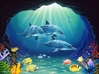 Dolphins - How I love my dolphins they are beautiful creatures of the sea