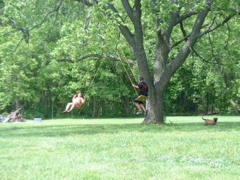 My kids - in their swing tree