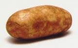 potato - potato