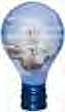 light bulb - light bulb