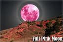 Full Pink Moon - This is a picture of a full pink moon that you can see just from the rise of a hillside and it is very beautiful and majestic.It is said that the pink moon appears in April and is pink because of a profusion of pink wildflowers. 
