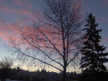 red dawn... - This color showed for just a minute and I happened to be there. red dawn... - This color showed for just a minute and I happened to be there.