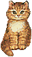 Cat - Ginger cat, clipart gif