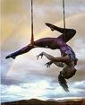 Trapeze Artist - Trapeze artist