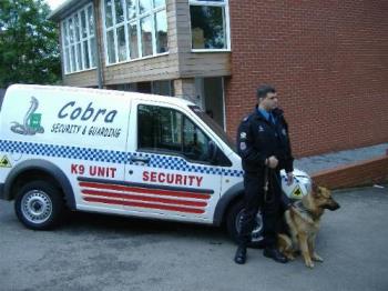 Dogs with security guy. - Dogs are good substitutes of guards as they are very good and they don;t fal asleep during night.