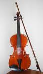 Violin - the violin