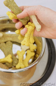 Dog Biscuits - Homemade Dog Biscuits - Homemade