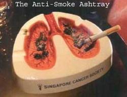 anti smoking ashtray - anti smoking ashtray