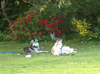 Kai and Tara - Our kids enjoying a lazy sunday afternoon in the backyard.