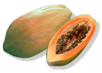 papaya - papaya is good for health