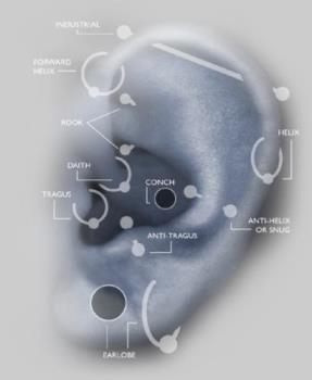 Ear Piercings - Ear, catalidge piercings, tragus, anti tragus