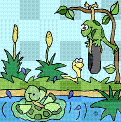 Whats on the schedule today? - A little fun in the pond and a swim or too can cool you off..The frogs know this best.