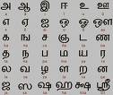 Tamil - Telugu & tamil has same script.