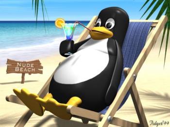 beach - penguin on beach!