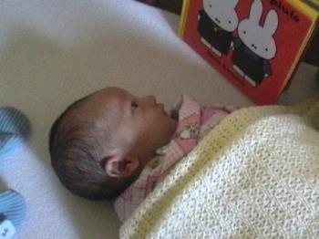 he likes Miffy since he was a baby - yes muffy is my favourite he likes Miffy since he was a baby - yes muffy is my favourite