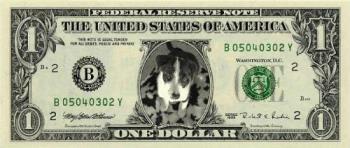 Dog Money! - Generated with my puppy&#039;s picture on it!