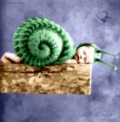 Anne Geddes "Snail Baby"  - So sweet