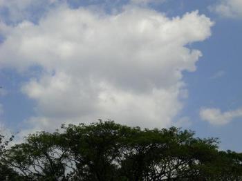 clouds - picture I took from the park