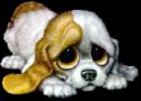 Sad Puppy - A poor, sad puppy...that deserves a great life!