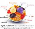 the philippine&#039;s halo halo - it is composed of many food mixed in one!