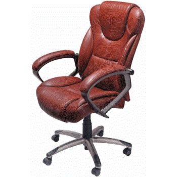 Computer Chair - Leather Executive EZ Chair. Computer Chair - Leather Executive EZ Chair.