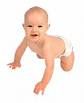 Baby - Baby Crawl