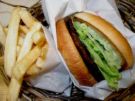 fries and burger - eating fries and burger chases my pain and troubles away.... fries and burger - eating fries and burger chases my pain and troubles away....