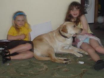 my two kids being guarded by our labrador, Nero - Our labrador, Nero, was a rescue dog and takes his role as guardian of the family very seriously
blessed be 