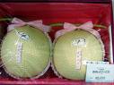 Melons - a couple of melons