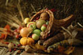 Fruits and vegetables - Basket full of fruits and vegetables.