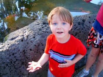 Cody at sea world last summer before he was attack - My beautiful baby boy! The codster