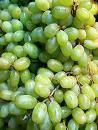 green grapes - green grapes image