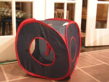 Cat play house - This is a spring-folded play house I bought for my cats. I spent $5.00 on it. So far they have slept in it, scooted it around the floor and tried to fold it back up!
Everytime I get the camera out they stop playing with it!