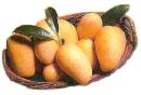 Mangoes - Ripe mangoes