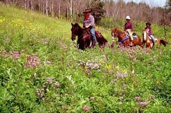 Horseback riding - Horseback riding in wild flowers. This would be so wonderful especially in the spring. 