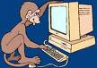Monkey - Train my monkey to do my typing