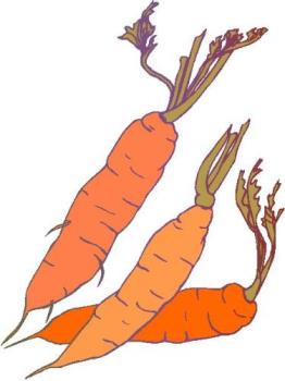 A special carrot for crickethear! - My special carrot for crickethear who never failed to support me. Thank you, crickethear. It is a pleasure to have you as my friend.