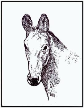 pen and ink donk - another donkey for the rescue